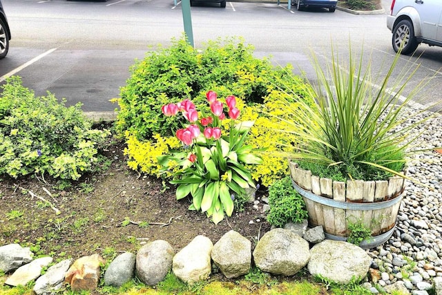 485 SW Bayshore Dr Unit C301, Oak Harbor, WA 98277 - view of details