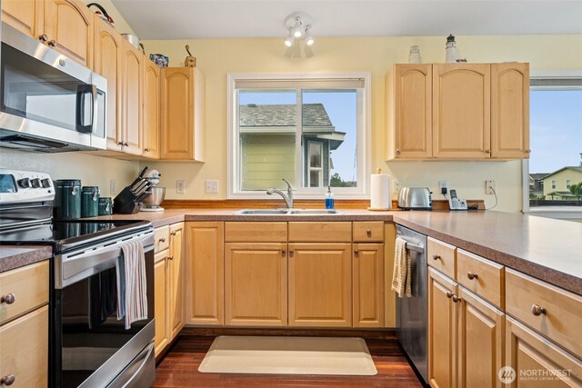kitchen with dark wood-type flooring, a sink, light brown cabinetry, and appliances with stainless steel finishes
