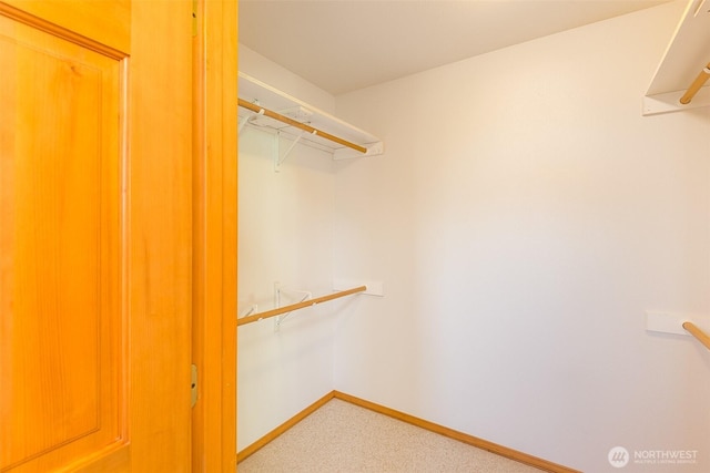 305 W Eunice St, Sequim, WA 98382 - spacious closet with carpet flooring