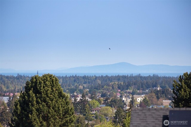 305 W Eunice St, Sequim, WA 98382 - mountain view with a view of trees