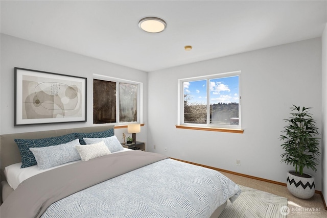 bedroom with baseboards and carpet floors