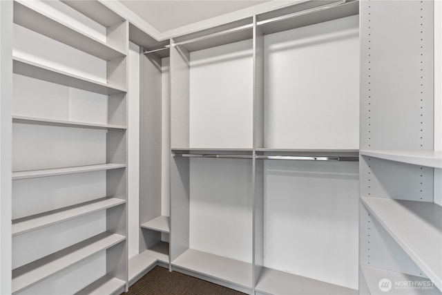 2620 SW Nevada St, Seattle, WA 98126 - view of walk in closet