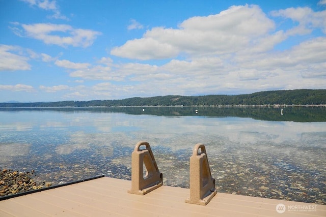 15931 E State Route 106, Belfair, WA 98528 - photo 4