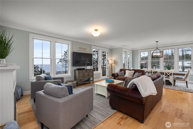 78 Pacifica Ln, Pacific Beach, WA 98571 - living area with light wood-style flooring, ornamental molding, and a chandelier