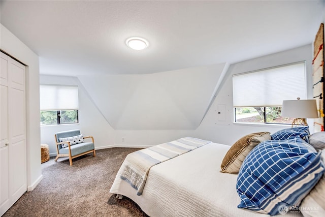 6455 NE Brigham Rd, Bainbridge Island, WA 98110 - bedroom with carpet floors, multiple windows, vaulted ceiling, and baseboards