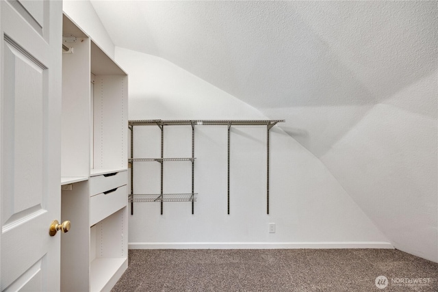 6455 NE Brigham Rd, Bainbridge Island, WA 98110 - walk in closet with lofted ceiling and carpet floors