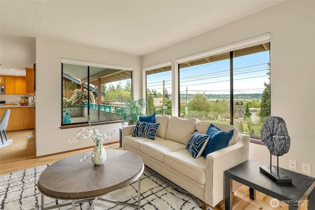 5510 3rd Ave NW, Seattle, WA 98107 - living room featuring light wood-type flooring and baseboards