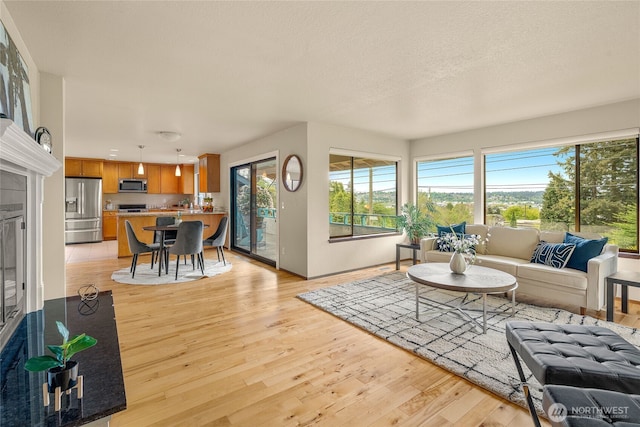 5510 3rd Ave NW, Seattle, WA 98107 - living area featuring light wood-type flooring and a textured ceiling