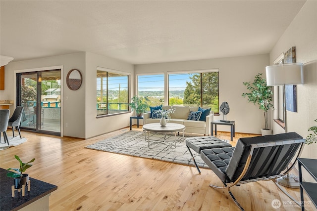 5510 3rd Ave NW, Seattle, WA 98107 - living area featuring plenty of natural light and light wood-style flooring