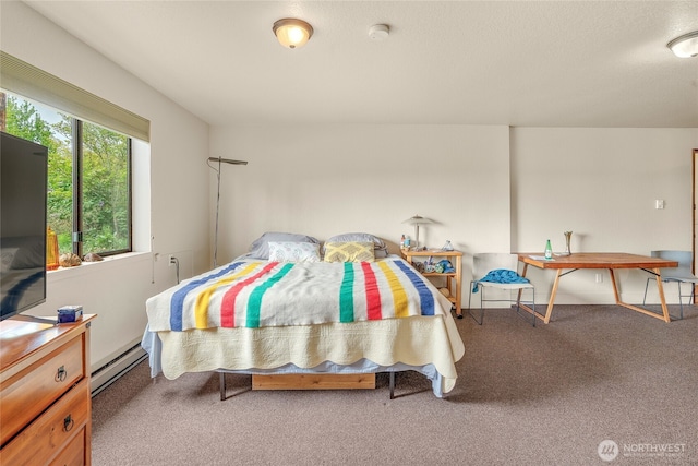 5510 3rd Ave NW, Seattle, WA 98107 - bedroom featuring carpet and a baseboard radiator