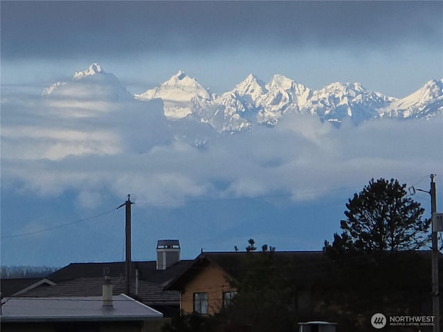 3545 Shell St, Greenbank, WA 98253 - property view of mountains