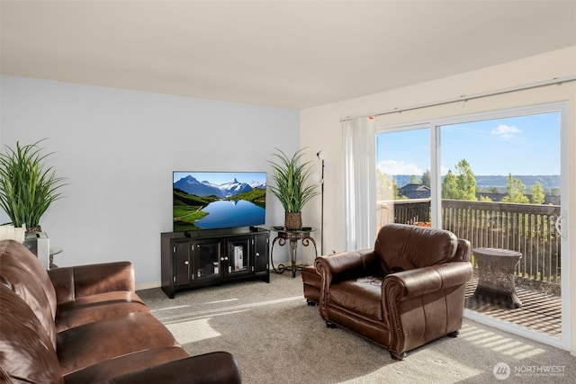 1425 S Puget Dr Unit 213, Renton, WA 98055 - living area with carpet floors