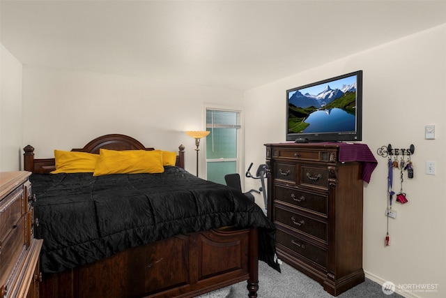 1425 S Puget Dr Unit 213, Renton, WA 98055 - bedroom featuring carpet
