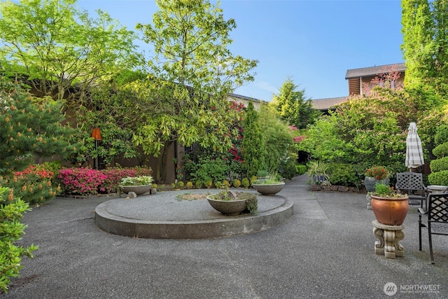 1425 S Puget Dr Unit 213, Renton, WA 98055 - view of patio / terrace featuring fence