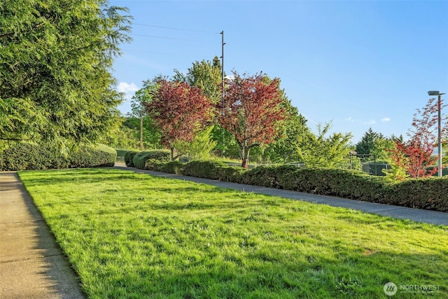 1425 S Puget Dr Unit 213, Renton, WA 98055 - view of yard