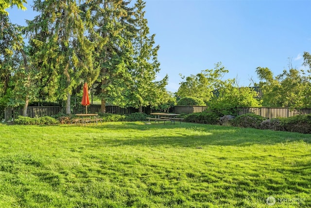 1425 S Puget Dr Unit 213, Renton, WA 98055 - view of yard with a fenced backyard