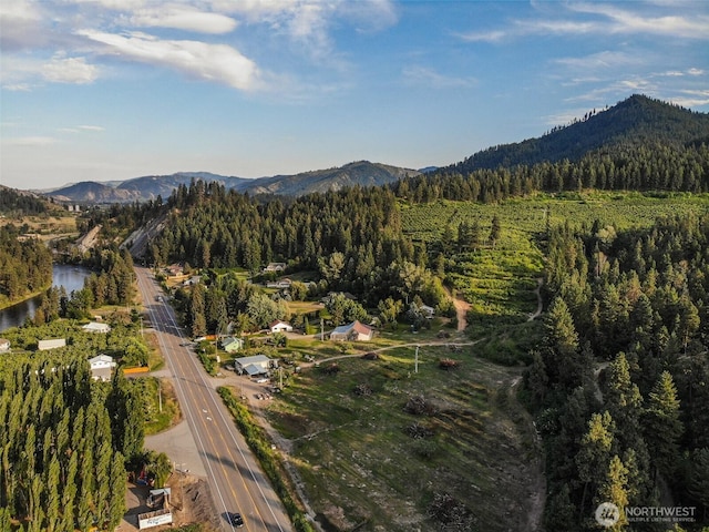 10801 US Highway 2, Peshastin, WA 98847