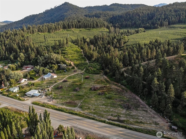 10801 US Highway 2, Peshastin, WA 98847