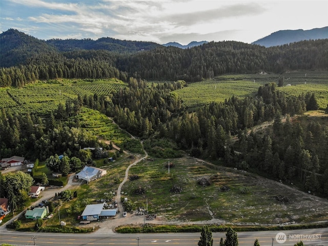 10801 US Highway 2, Peshastin, WA 98847