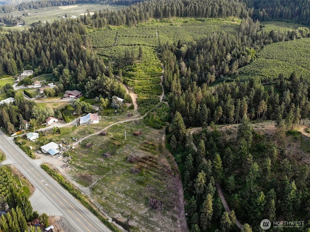 10801 US Highway 2, Peshastin, WA 98847