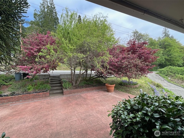 surrounding community featuring a patio area