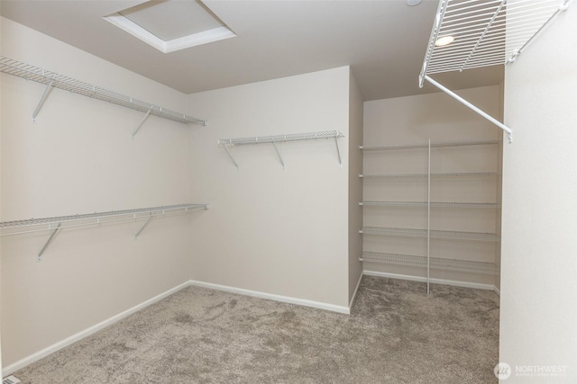 walk in closet with carpet