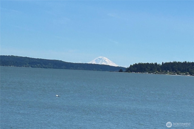 2805 N Bluff Rd, Greenbank, WA 98253 - photo 38