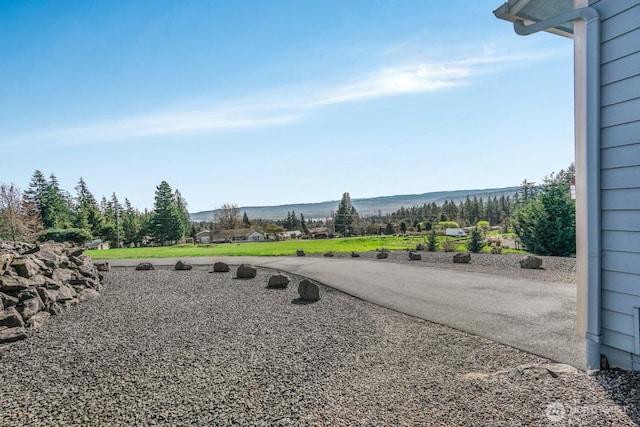216 Gore Rd, Kalama, WA 98625 - photo 33