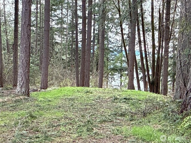 18243 SE Suncrest Ct, Yelm, WA 98597