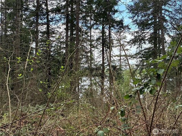18243 SE Suncrest Ct, Yelm, WA 98597