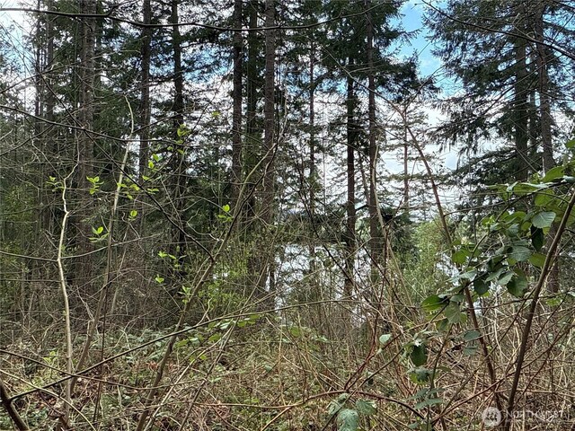 18243 SE Suncrest Ct, Yelm, WA 98597