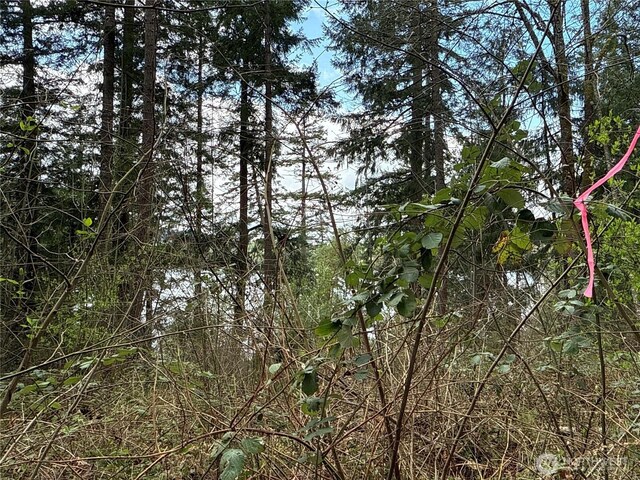 18243 SE Suncrest Ct, Yelm, WA 98597