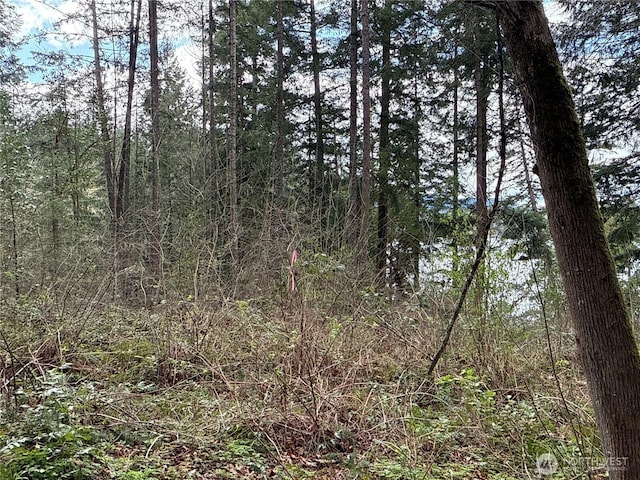 18243 SE Suncrest Ct, Yelm, WA 98597