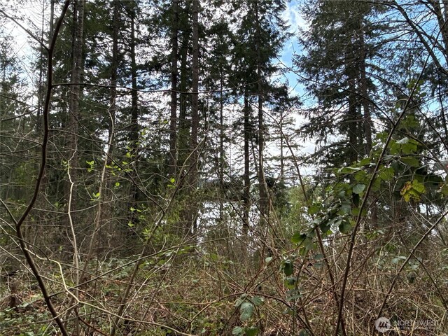 18243 SE Suncrest Ct, Yelm, WA 98597