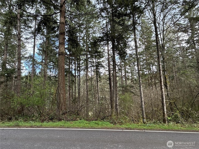17636 E Clear Lake Blvd SE, Yelm, WA 98597