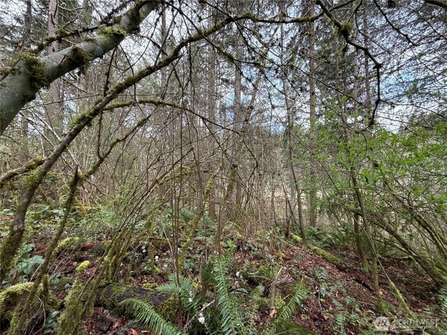17636 E Clear Lake Blvd SE, Yelm, WA 98597