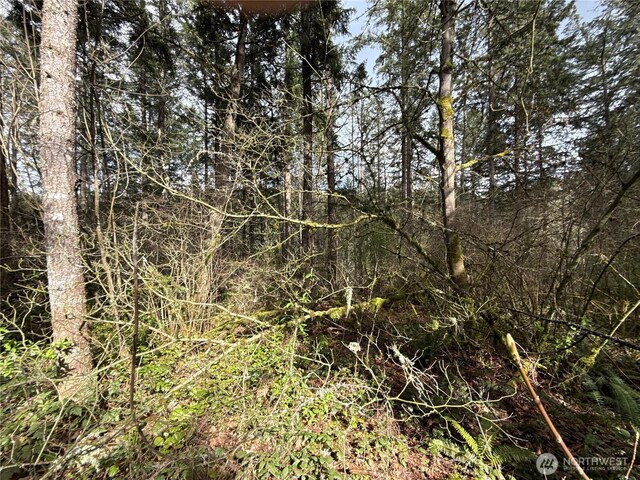 17636 E Clear Lake Blvd SE, Yelm, WA 98597