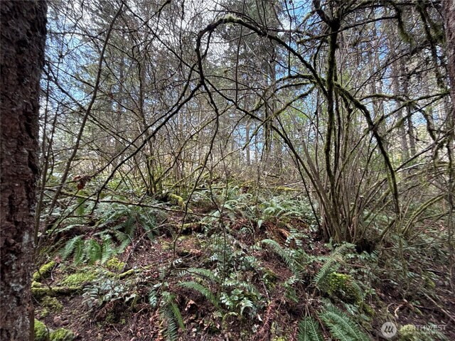 17636 E Clear Lake Blvd SE, Yelm, WA 98597