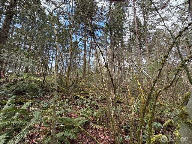 17636 E Clear Lake Blvd SE, Yelm, WA 98597
