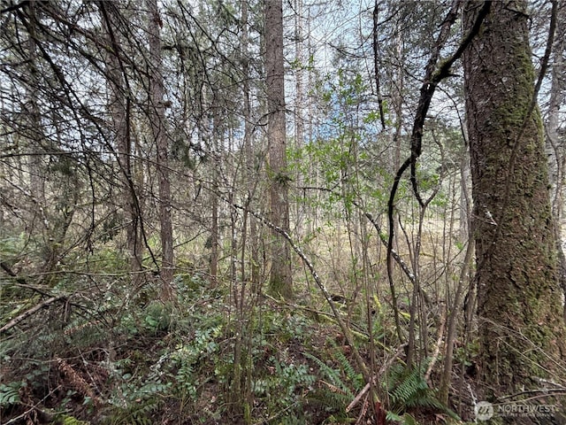 17636 E Clear Lake Blvd SE, Yelm, WA 98597