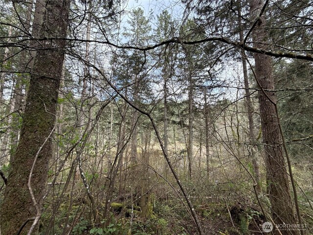 17636 E Clear Lake Blvd SE, Yelm, WA 98597