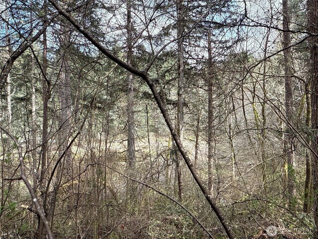 17636 E Clear Lake Blvd SE, Yelm, WA 98597