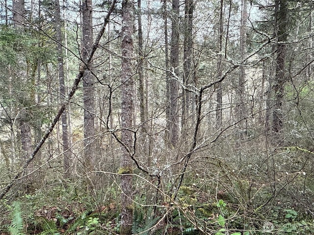 17636 E Clear Lake Blvd SE, Yelm, WA 98597