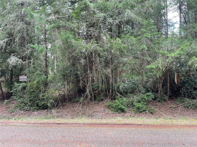 10712 Lakeshore Dr, Anderson Island, WA 98303