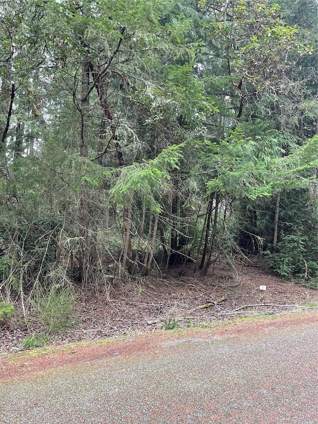 10712 Lakeshore Dr, Anderson Island, WA 98303