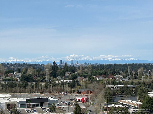 3815 131st Ln SE Unit H7, Bellevue, WA 98006 - bird's eye view of a heavily wooded area