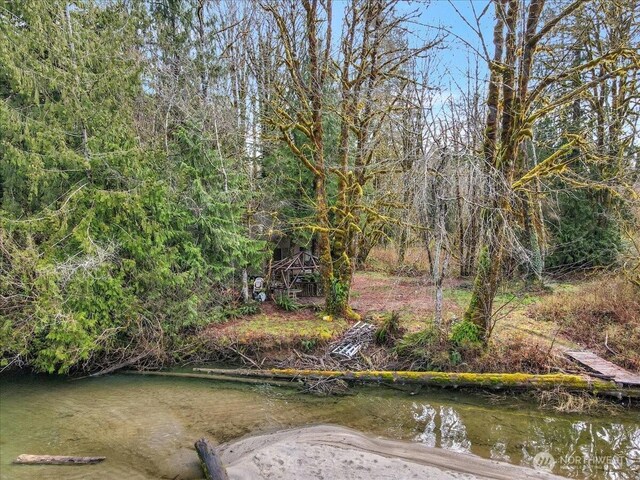 30600 412th Dr NE, Arlington, WA 98223 - photo 11