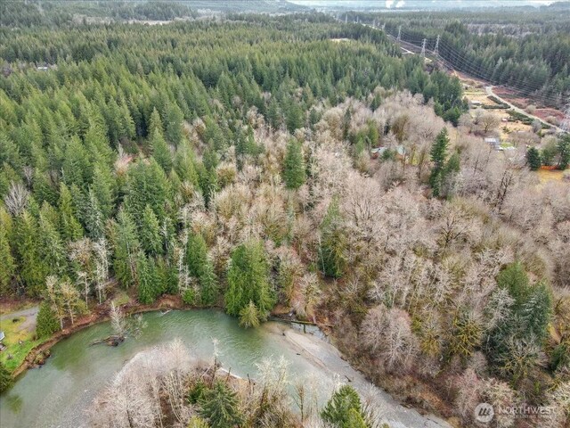 30600 412th Dr NE, Arlington, WA 98223 - photo 4