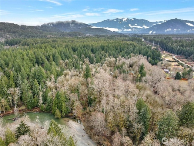 30600 412th Dr NE, Arlington, WA 98223 - photo 12