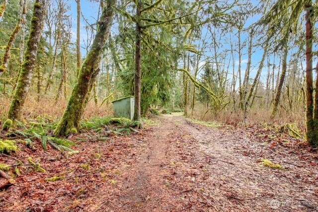 30600 412th Dr NE, Arlington, WA 98223 - photo 6